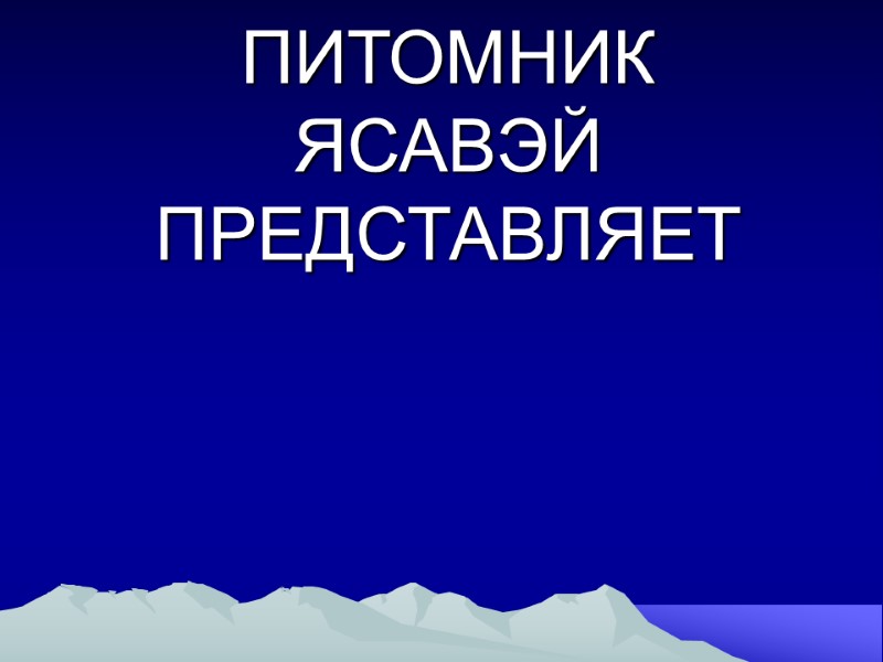 ПИТОМНИК ЯСАВЭЙ ПРЕДСТАВЛЯЕТ